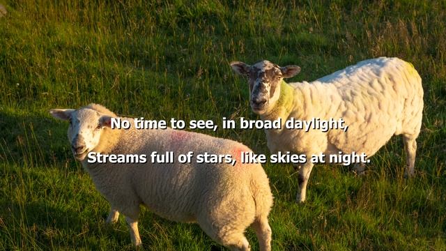 Stare Poem (Leisure) by William Henry Davies смотреть онлайн