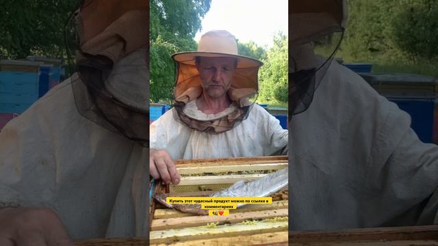 Если очень хочется меда, то можно написать мне в телеграмм:) @urydpany