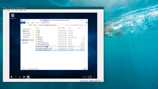How to Make MS Windows Server 2019 Full Screen Resolutions in Virtual box смотреть онлайн