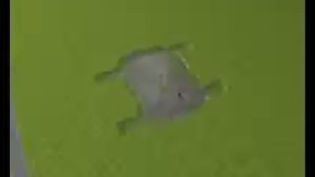 Куда инвестировать деньги? SKY WAY смотреть онлайн