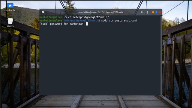 Replicação Postgresql - Parte 7 (Configurando o Postgresql) смотреть онлайн