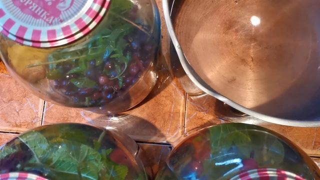 Компот из крыжовника Мохито смотреть онлайн