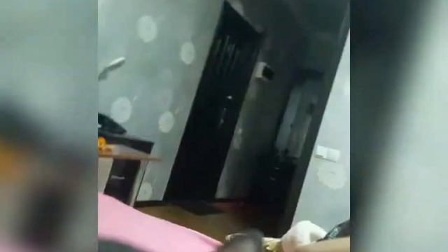 Ну дай мандаринку)) дай попробую🐕🐕🐕 смотреть онлайн