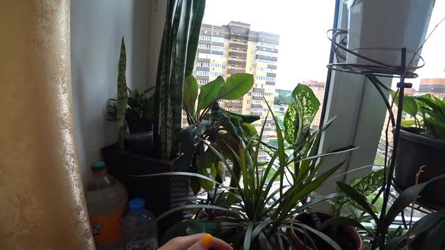 ВЕРНУЛИ СЫНА ОБРАТНО смотреть онлайн