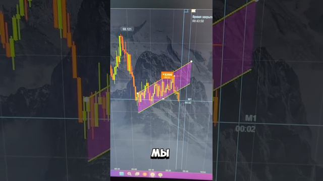 Бот, который знает все!