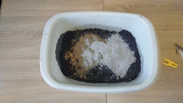 Пересаживаю фикусы. Состав грунта для Фикусов.