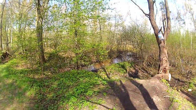 Сосновка, наблюдение за утками смотреть онлайн