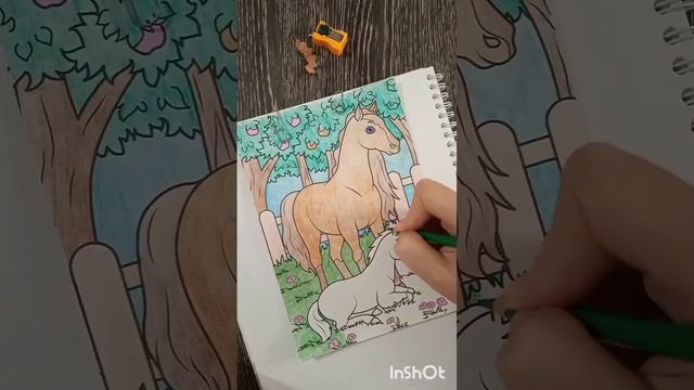 Раскрашивам домашних животных смотреть онлайн