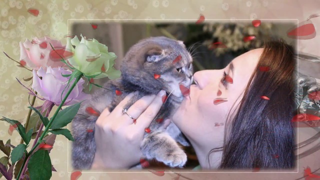 С ЮБИЛЕЕМ (14.02.2015) смотреть онлайн