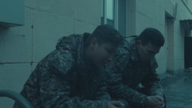 ВЕРНОЕ РЕШЕНИЕ (ПО ЗАКАЗУ ЮРВСУ ПРИ МВД РК) смотреть онлайн