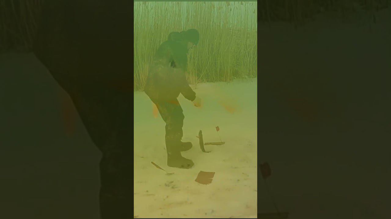 щука на жерлицы (архив 19год) #щука #ловлящуки смотреть онлайн