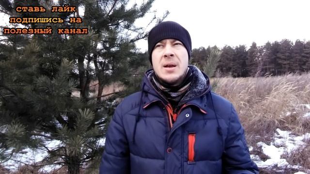★Как ОТБЕЛИТЬ ЛИЦО в домашних условиях. Действенные рецепты для эффективного ОТБЕЛИВАНИЯ ЛИЦА. смотреть онлайн