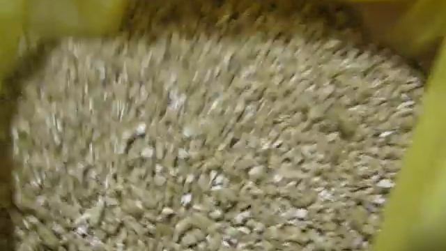 Состав грунта для адениумов смотреть онлайн