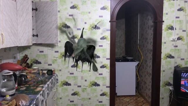 Монстр попал на камеру ( или почему они попадают только на плохие камеры )