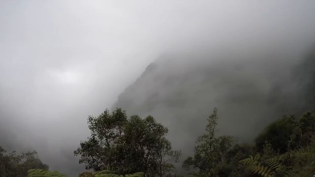 Bolivia: The World's Most Dangerous Road - Death Road смотреть онлайн