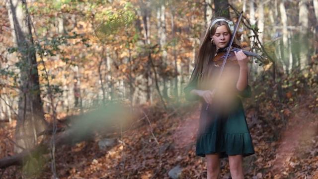 BEST EUROVISION SONG! Fairytale - Alexander Rybak - Violin cover by Sofia V смотреть онлайн