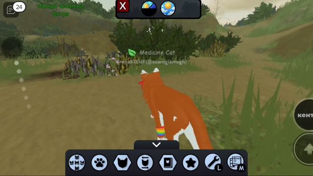 Warrior Cats