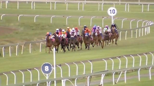 WHISPERS OF WAR - race 5 #vaal 01 November 2022 смотреть онлайн