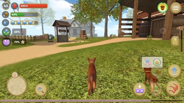 КОТЕНОК ПОДРОС 7 Симулятор КОТА и КОШКИ с Кидом. Новая порода - Абиссинская на пурумчата