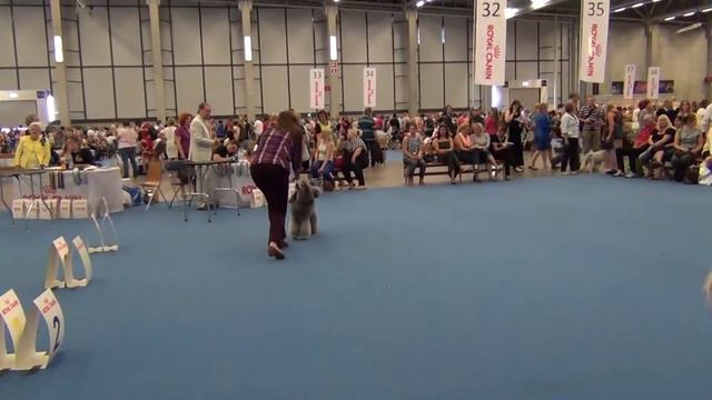Kennel Mon Renessans on World Dog Show Helsinki-2014 смотреть онлайн