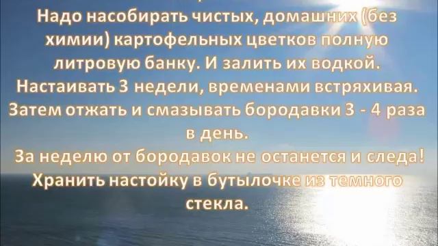 Как избавиться от коричневых пятен, бородавок и папиллом. смотреть онлайн
