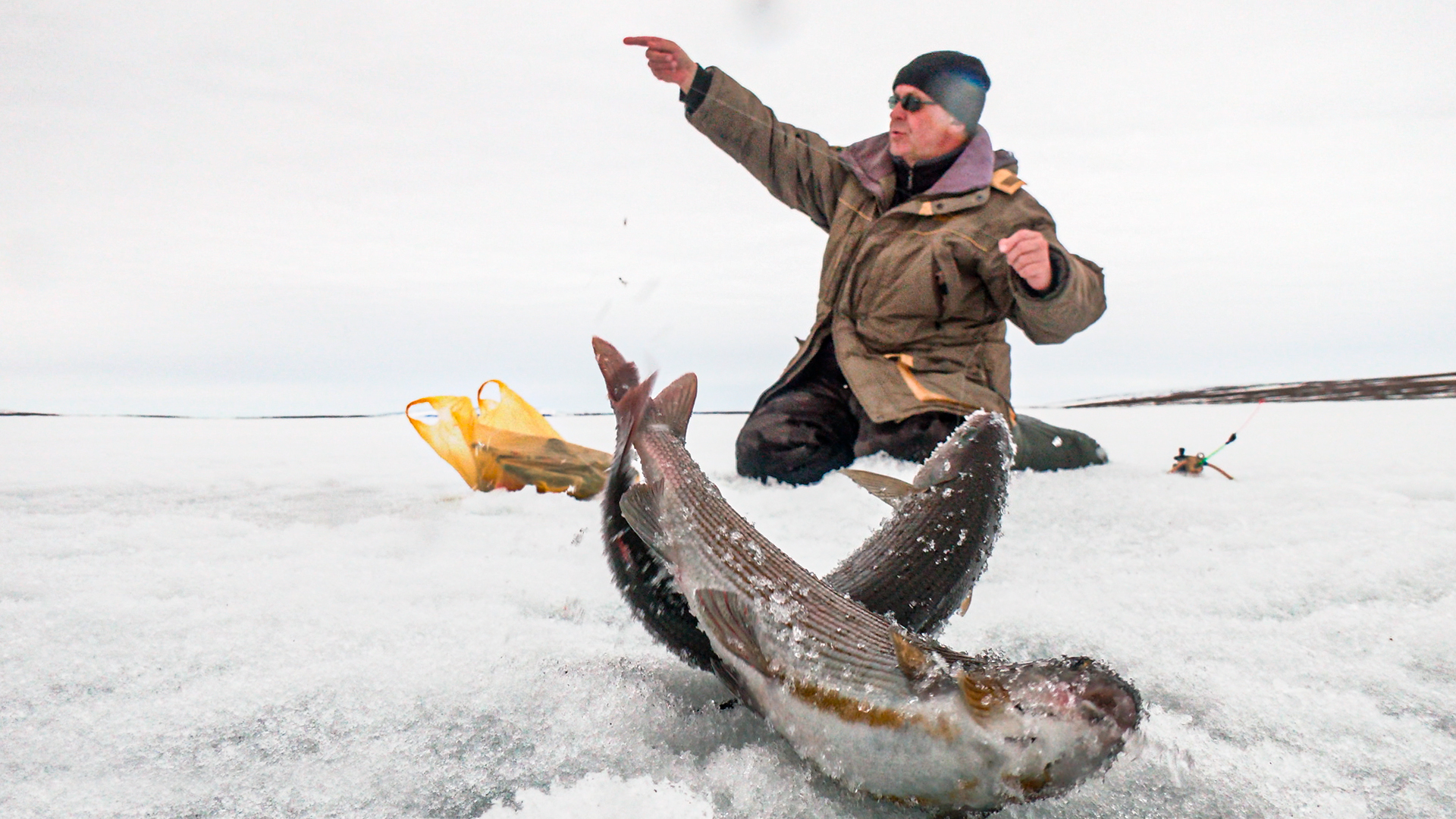 ПОДЛЁДНАЯ РЫБАЛКА В ИЮНЕ | С полем смотреть онлайн