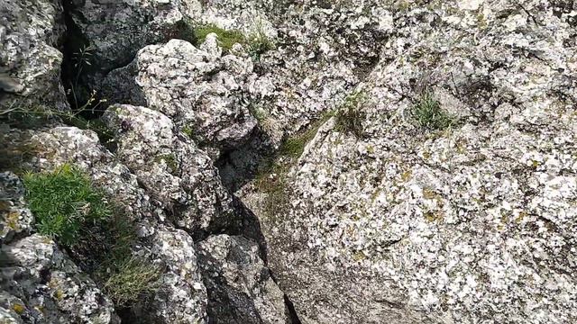 Лесной поход на Эчкидаг смотреть онлайн