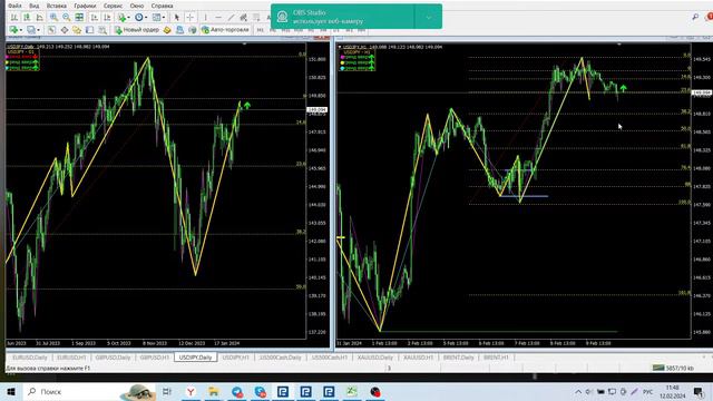 Обзор EUR/USD, GBP/USD, Gold, USD/JPY, BRN, ES на 12.02.2024 смотреть онлайн