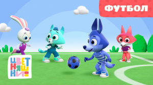 Цветняшки — Футбол — Серия 48 — Развивающий мультик для малышей
