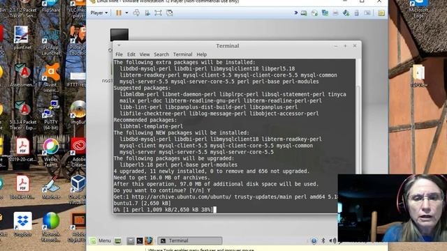 Install MySQL on Linux Mint смотреть онлайн