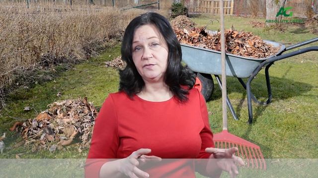 Как подготовить почву для посева газона? смотреть онлайн