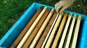 изоляторы для пчелиных маток