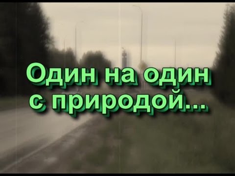 Один на один с природой смотреть онлайн