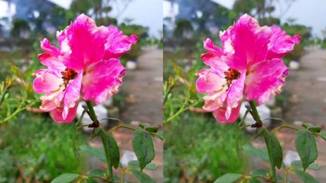 Sony Xperia 5 vs Huawei mate 30 pro camera performance смотреть онлайн
