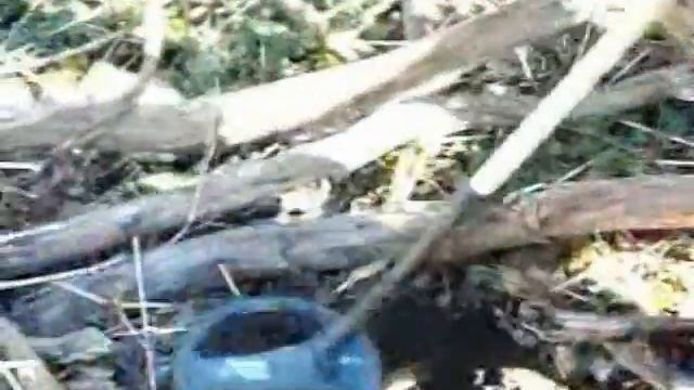 Metal Detecting Video #4 V1