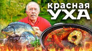 КРАСНАЯ УХА в КАЗАНЕ на КОСТРЕ. УХА из КАРПА. НОВИНКА в ПРИГОТОВЛЕНИИ УХИ.