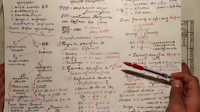 Физиология обмена веществ смотреть онлайн