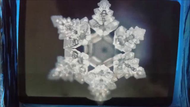 Ra Ma Da Sa Sa Say So Hung and Ho'oponopono смотреть онлайн