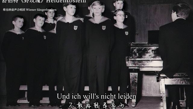 Wiener Sängerknaben - Heidenroslein（Schubert） смотреть онлайн