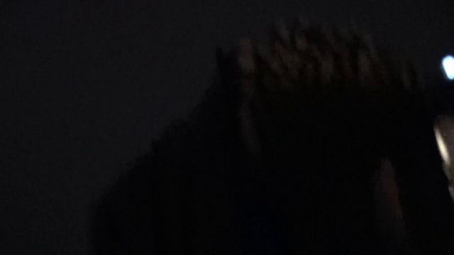 ПОСТ ГАИ ДЕБАЛЬЦЕВО-КОНВЕЕР ВЗЯТОК ! смотреть онлайн