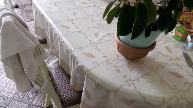 На дереве растет сало!веточка сала! смотреть онлайн
