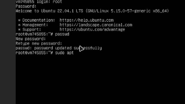 Как арендовать свой VPS сервер, кинуть туда файлы и запустить бота смотреть онлайн