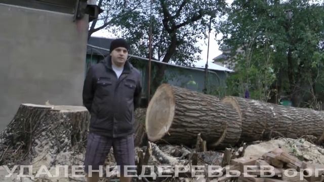 Отзыв заказчика из Ногинска после удаления огромного тополя. 10 октября 2015 года. смотреть онлайн