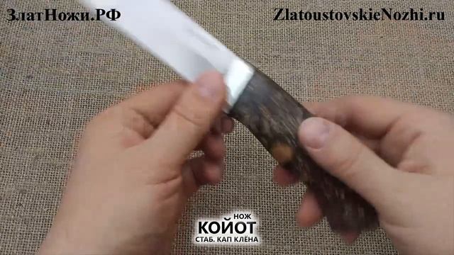 Нож Койот. Рукоять - кап клёна, алюминий смотреть онлайн