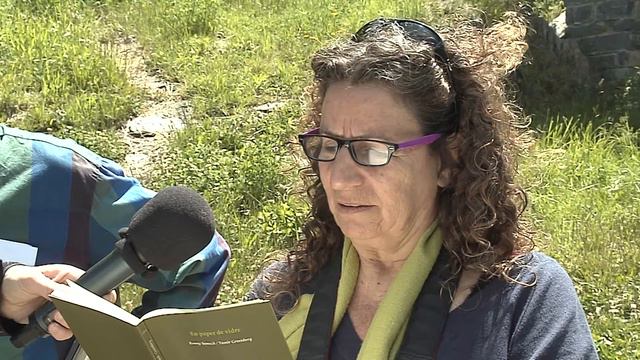 Lluís Llobet i Michal Fertig reciten, Poema de goig смотреть онлайн
