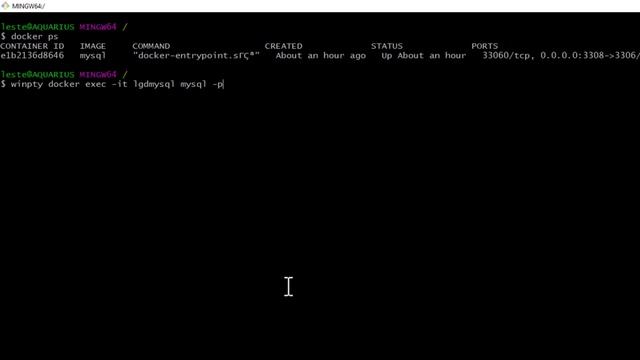 02-Logging into Docker mySQL from CLI смотреть онлайн