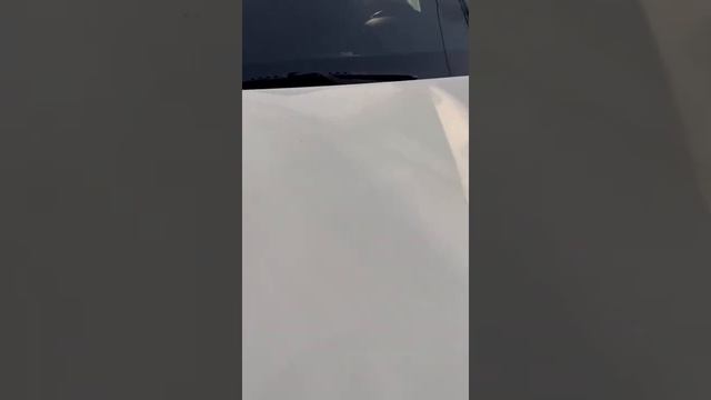 KIA SORENTO 2020/09 2,2 4 wd смотреть онлайн