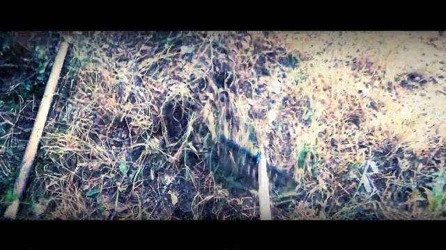 Жасыл Ел 2 [Стёб] смотреть онлайн