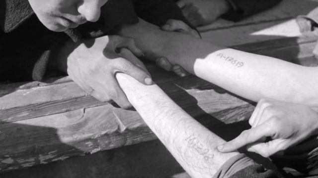 "Татуировщик из Освенцима" буктрейлер смотреть онлайн