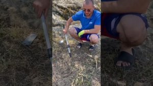 Самая опасная змея Гюрза(одна из самых опасных змей ни только в России)